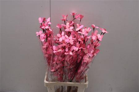 <h4>Butterfly Flower Rose</h4>