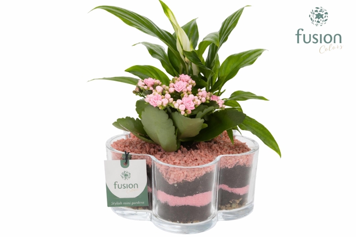 <h4>Glazen Bloemschaalmet arrangement Licht roze</h4>