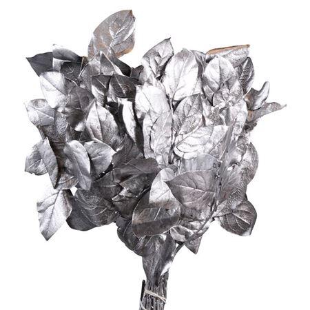 <h4>Salal Tip Geverfd</h4>