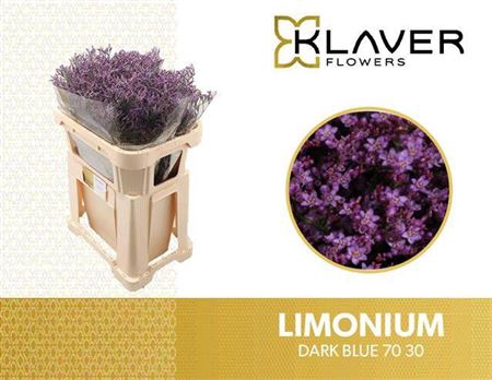 <h4>Lim Saf Dark Blue</h4>