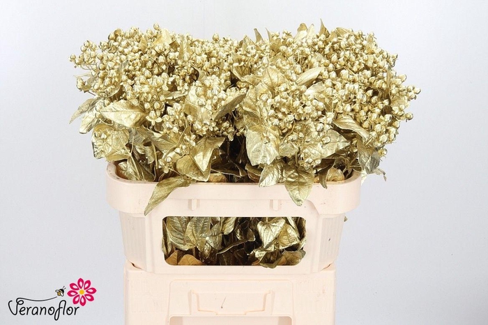 <h4>HYP OV KLB H%</h4>