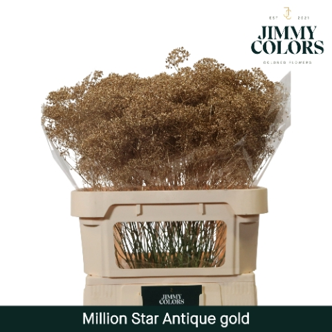 <h4>Gyps Million Star L80 Metallic antique gold</h4>