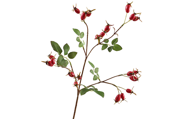 Rose Hip Spray
