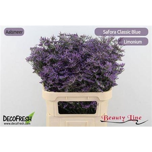 Lim Safora Classic Blue