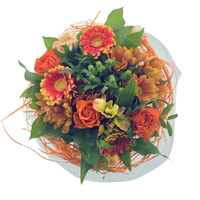 <h4>BQ Sisal Large Orange</h4>