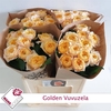 Rosa Garden Vuvuzela Golden