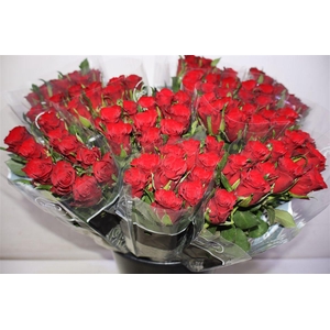 R Gr Simply Red+ X10
