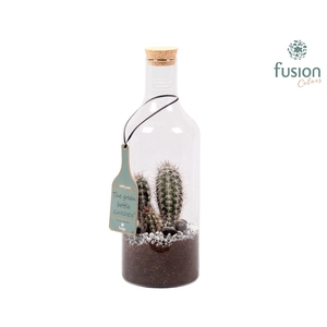 Green Bottle Fles Medium met Cactussen