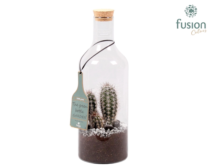 <h4>Green Bottle Fles Medium met Cactussen</h4>