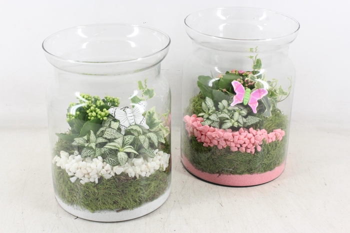 Arr2 Pl - Glas Bose Hoog 285/5 - Roze/wit