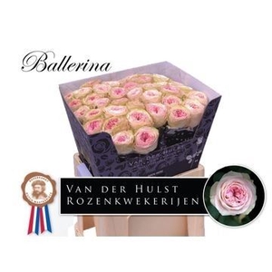 R Gr Bal Summerhouse Hulst