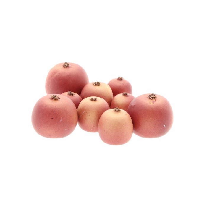 <h4>Apple Malus 3 Size 9Pcs</h4>