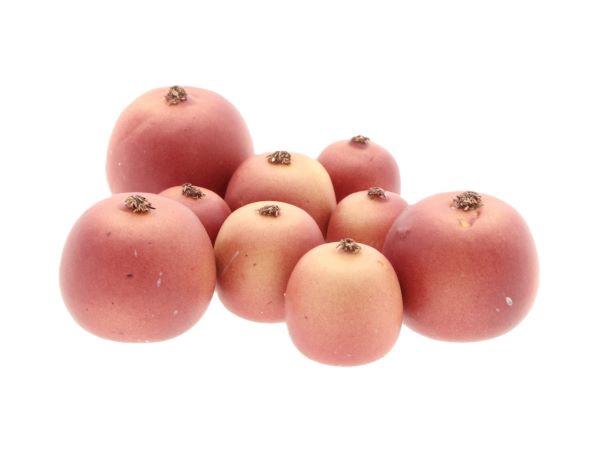 Apple Malus 3 Size 9Pcs