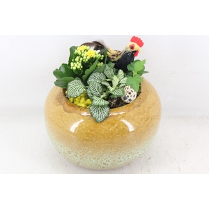 arr2 MB - Ker. bolpot yellow x3