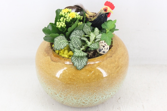 <h4>arr2 MB - Ker. bolpot yellow x3</h4>