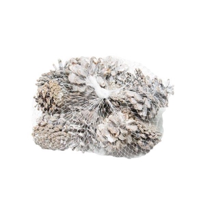 Pinecone Oostenrijker 15 Pcs