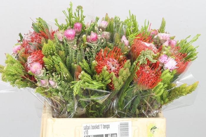 Kaaps Bouquet Veldfire 2 Pin