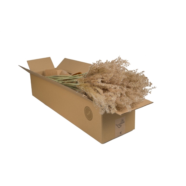 <h4>Droogbloemen-Miscanthus Natural</h4>