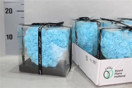 <h4>Foam Heart Light Blue</h4>