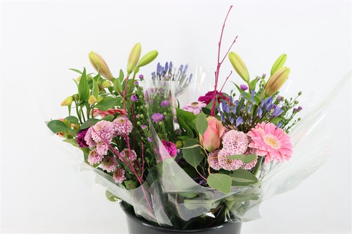 <h4>Bqt Field 16st</h4>