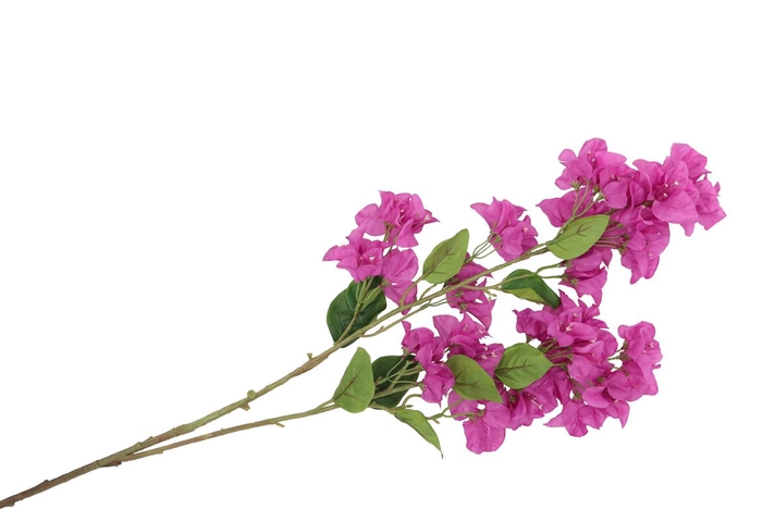 <h4>Silk Bougainville Tak Purple 106cm</h4>