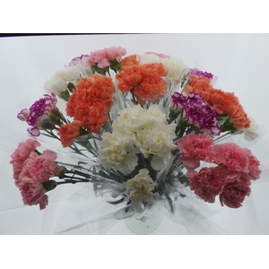 Bouquet Mono Anjers x5 mix 60cm