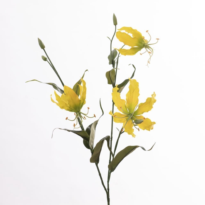 <h4>AF Gloriosa L92cm Yellow</h4>