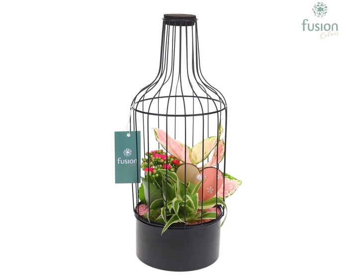 <h4>Metaal fles zwart Medium Love met arrangement</h4>
