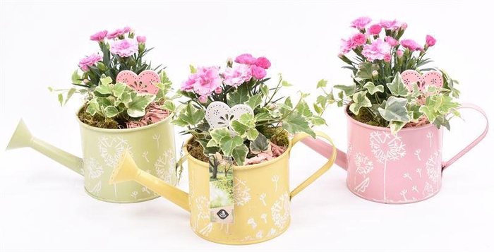 <h4>Zink gieter decor mix 13cm</h4>