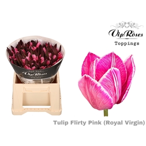 Tu En Rv Flirty Pink