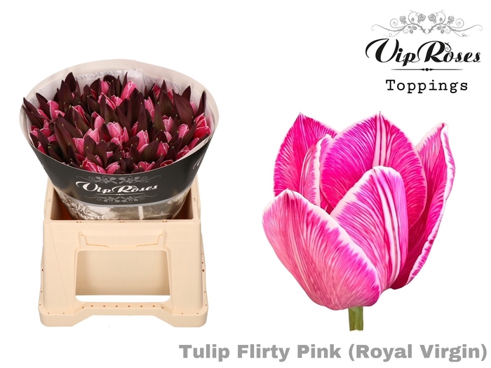<h4>TU EN RV FLIRTY PINK</h4>