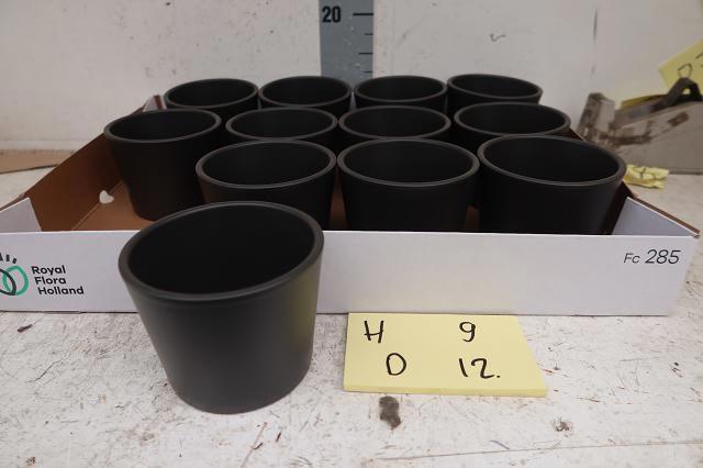 <h4>HUIS EN TUINDECO H%</h4>