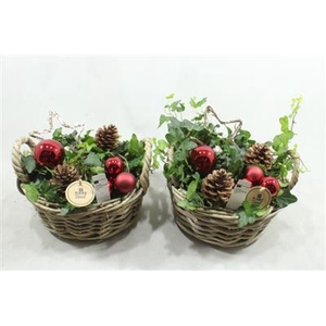 6478 LAAG ROTAN ROOD