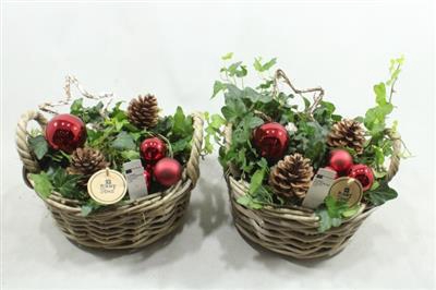 <h4>6478 LAAG ROTAN ROOD</h4>