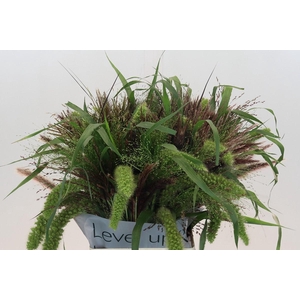 Grasses mix in bucket