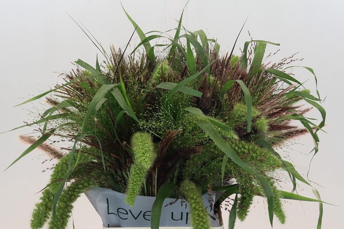 <h4>Grasses mix in bucket</h4>