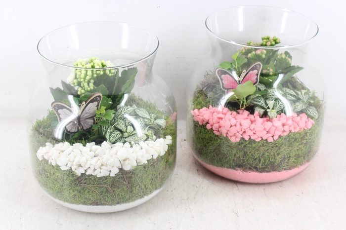 Arr2 Pl - Glas Candy X2 - Roze/wit