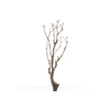 Syringa Branch Extra Landini