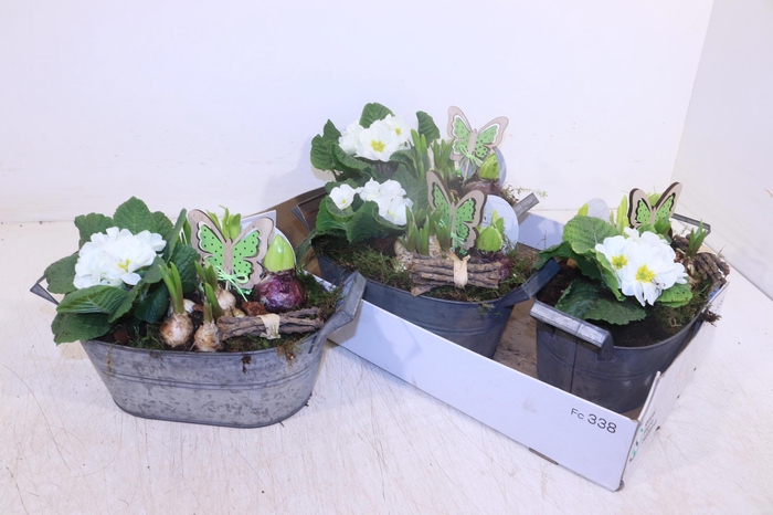 <h4>ARR PL IN SCHAAL</h4>