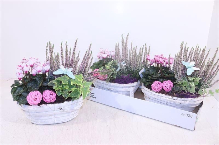 <h4>ARR TUINPLANTEN</h4>