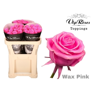R Gr Wax Pink X30 998