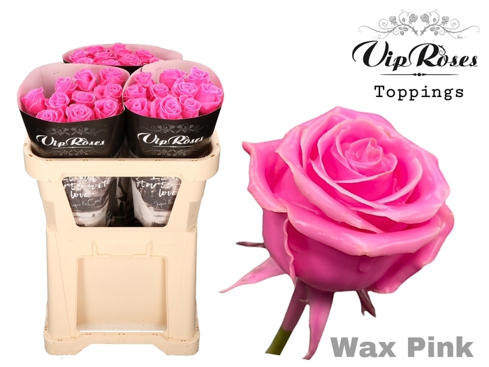 R Gr Vip Wax Pink X30