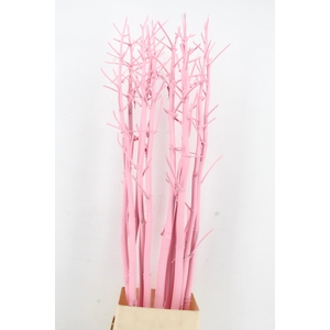 Ferule Kapstok Light Pink
