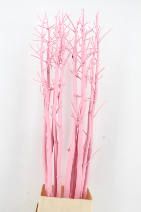 <h4>Ferule Kapstok Light Pink</h4>