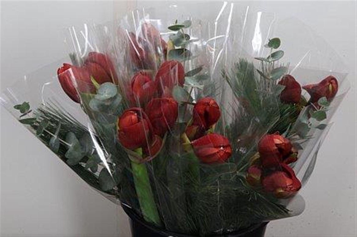 <h4>Hipp Mono Kief Euca Rood</h4>