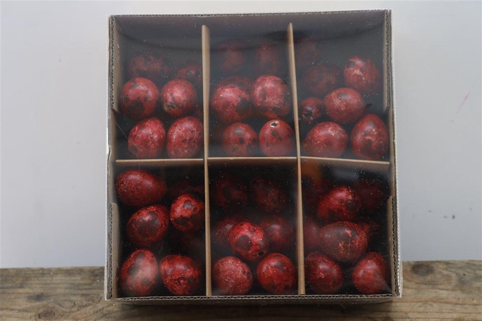 <h4>Egg Quail Orange</h4>