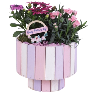 Mothersday Arr. Outdoor Wooden Pot on Stand Pastel Pink Ø19cm 2P