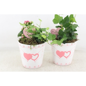 arr2 JS - Ker. hartjes pot 236/6