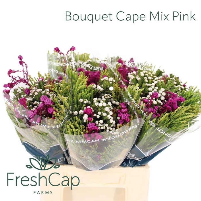 <h4>Bouquet Cape Mix Pink</h4>