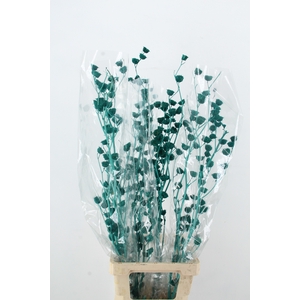 DF Lavatera Bs Turquoise 120g